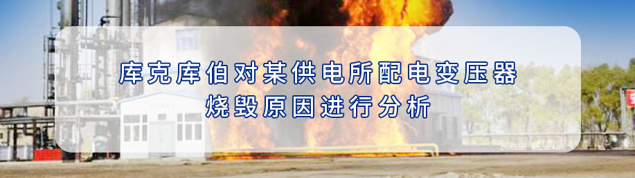 庫克庫伯對某供電所配電變壓器燒毀原因進行分析