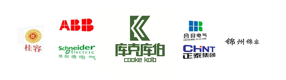 國內影響比較大的電力電容器品牌推薦 國內影響比較大的電力電容器品牌推薦