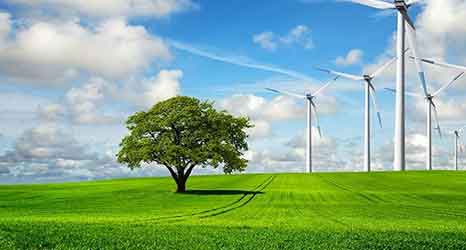 庫克庫伯:以安全可靠為選材標準 庫克庫伯:以安全可靠為選材標準