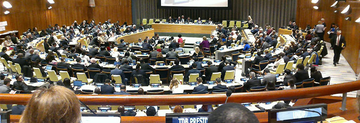 聯合國新能源和可再生能源會議