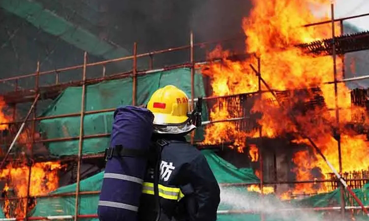 配電網中電力電容器爆炸的影響有多大