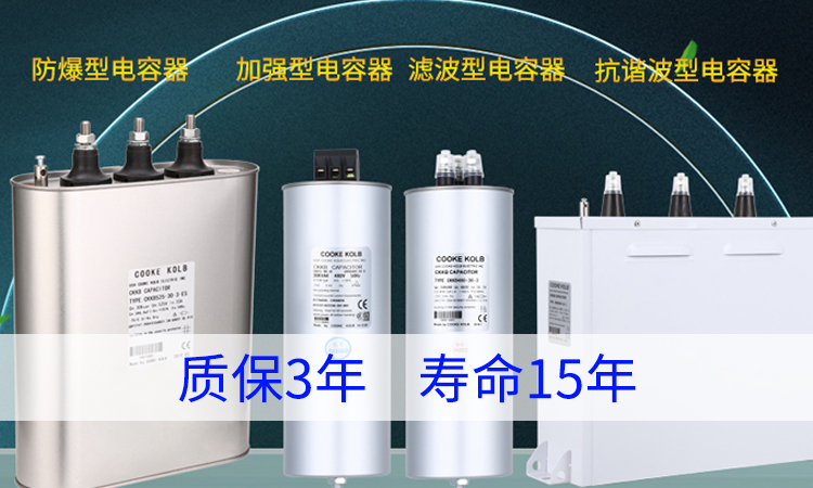 市面上那么多進口電力電容器品牌怎么選 市面上那么多進口電力電容器品牌怎么選