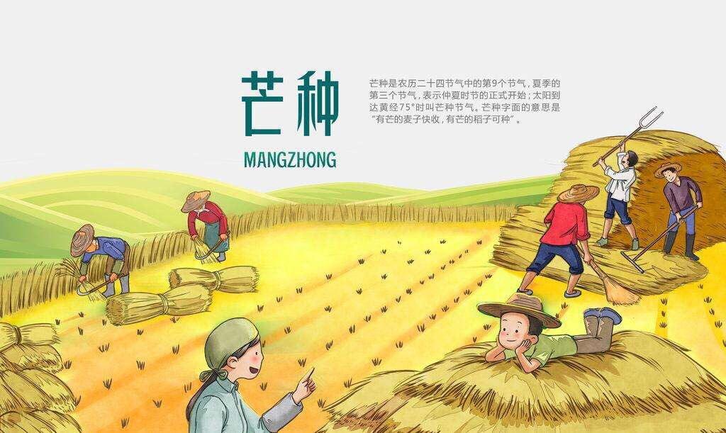 芒種